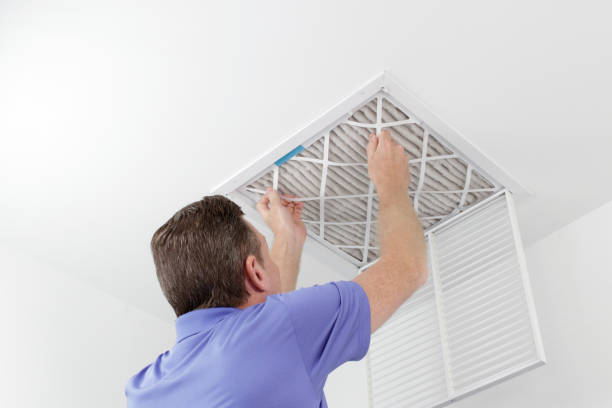 Best Local Air Duct Cleaning Services  in Roebuck, SC